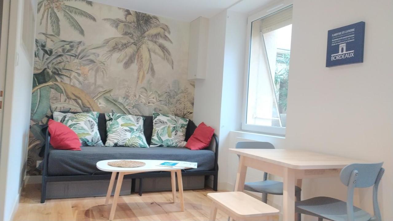 Appartement Renove 1 Chambre Centre Historique ボルドー エクステリア 写真